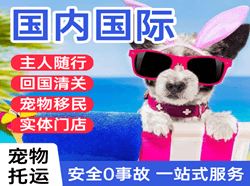 北海福成机场快递国际宠物托运 【国
